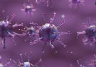 شناسایی ۱۴۴ مورد جدید مبتلا به کرونا ویروس/ ۳ مورد فوتی